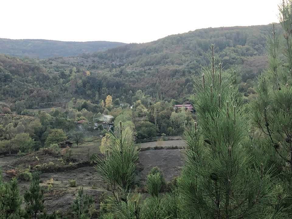 Gerze Sarnıç Köyü Resimleri 8