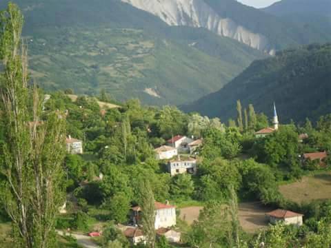 Gerze Sazak Köyü Resimleri 2