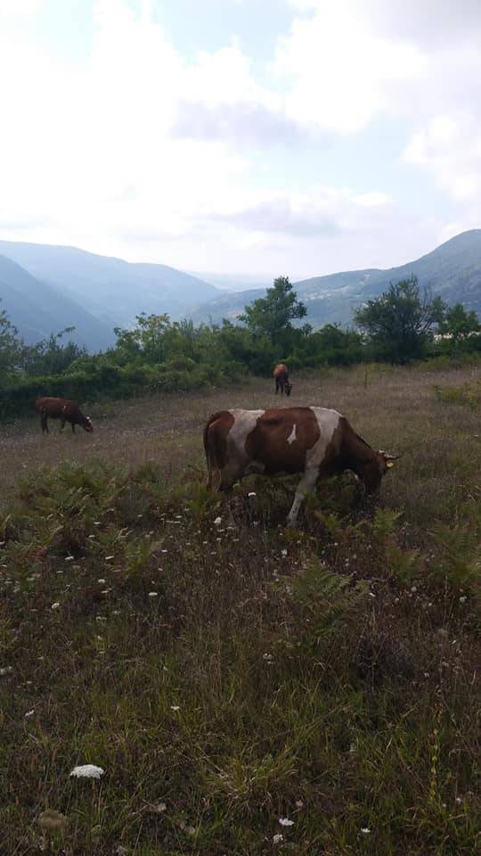 Gerze Sazak Köyü Resimleri 3