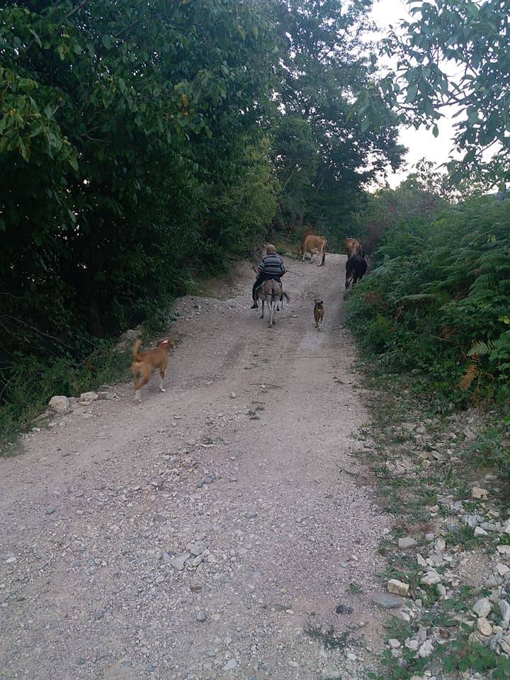 Gerze Sazak Köyü Resimleri 5