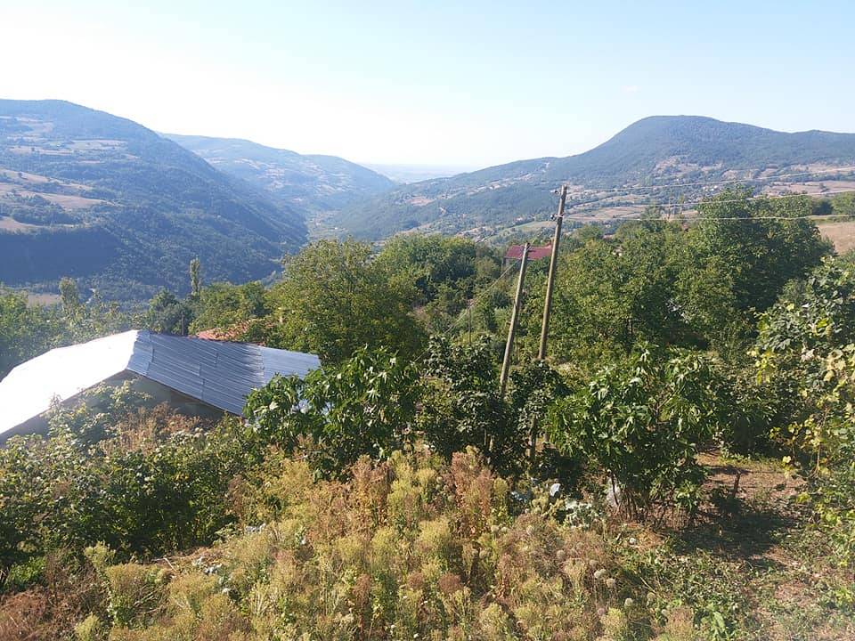 Gerze Sazak Köyü Resimleri 7