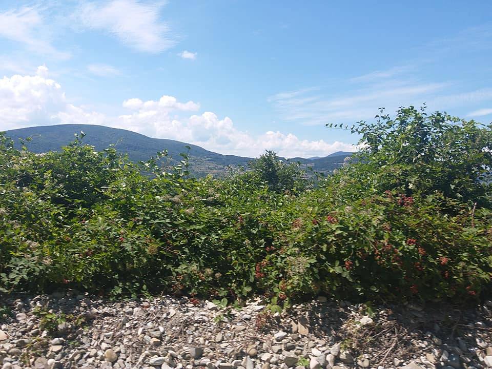 Gerze Sazak Köyü Resimleri 8