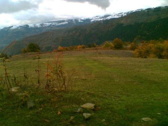 Gerze Şeyhli Köyü Resimleri 1