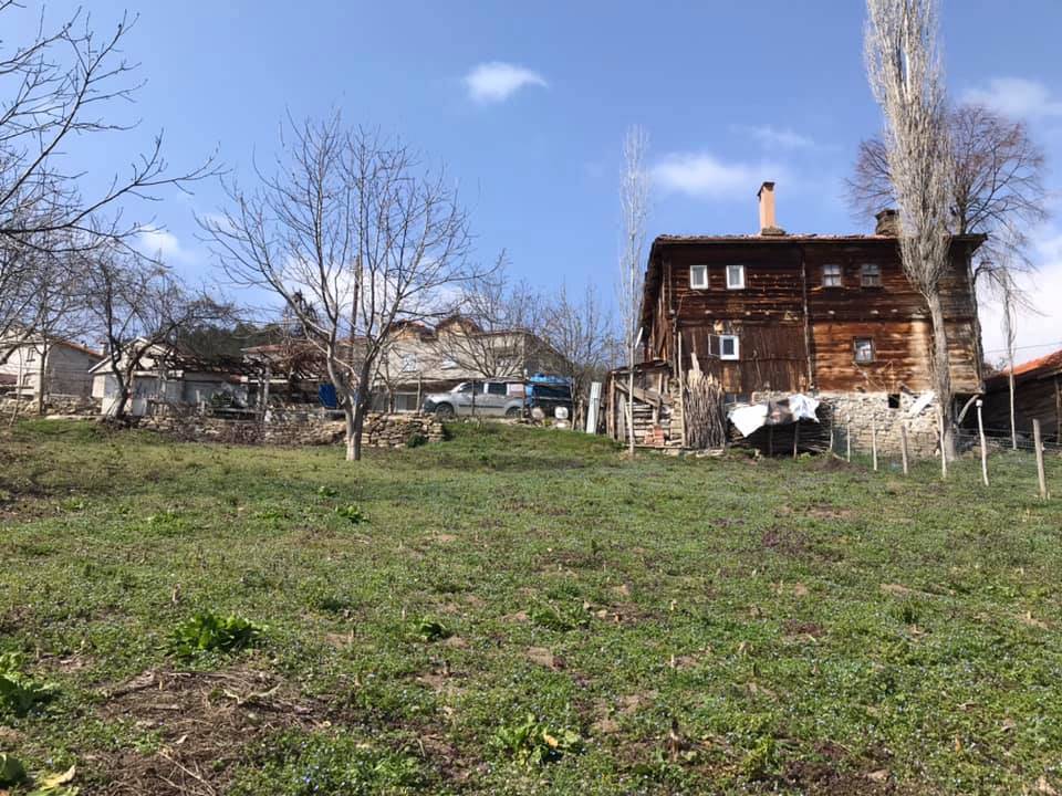 Gerze Şeyhli Köyü Resimleri 10