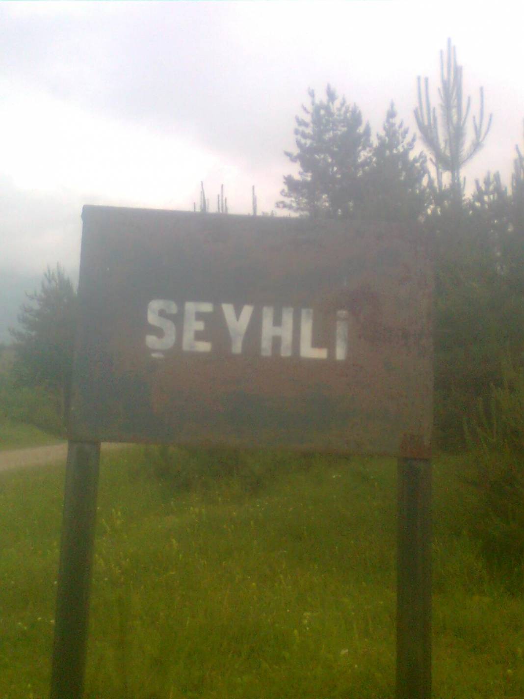 Gerze Şeyhli Köyü Resimleri 11