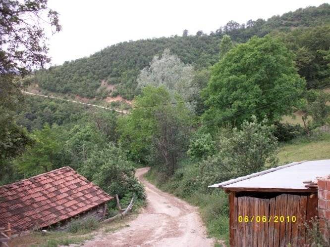 Gerze Şeyhli Köyü Resimleri 2