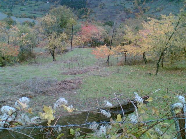 Gerze Şeyhli Köyü Resimleri 3