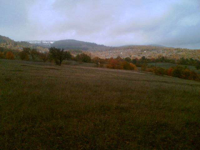 Gerze Şeyhli Köyü Resimleri 4