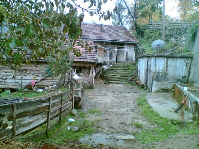 Gerze Şeyhli Köyü Resimleri 5