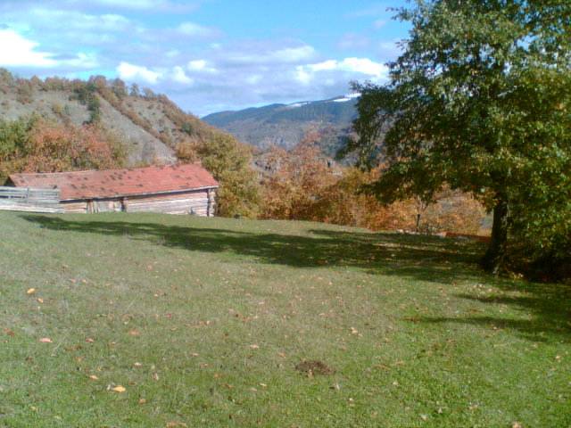 Gerze Şeyhli Köyü Resimleri 6