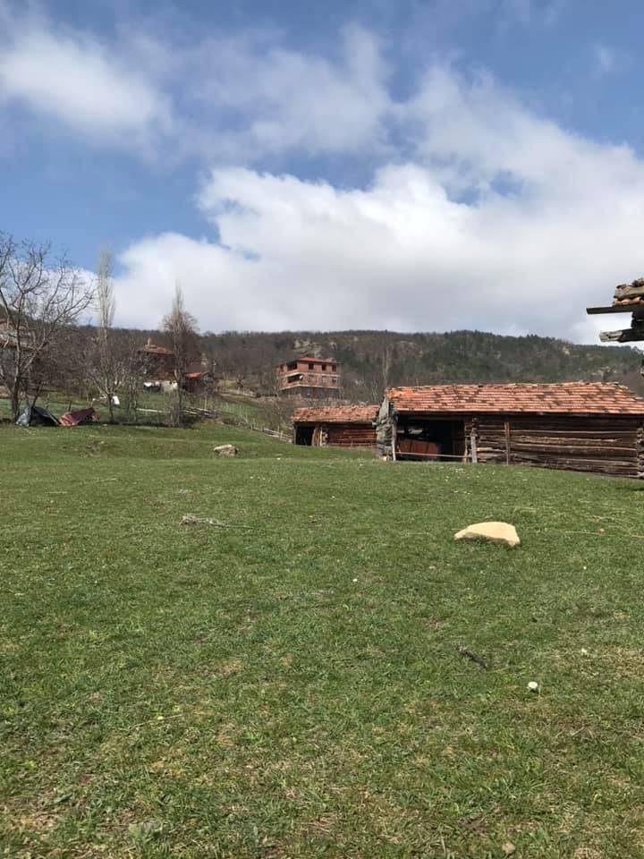 Gerze Şeyhli Köyü Resimleri 8