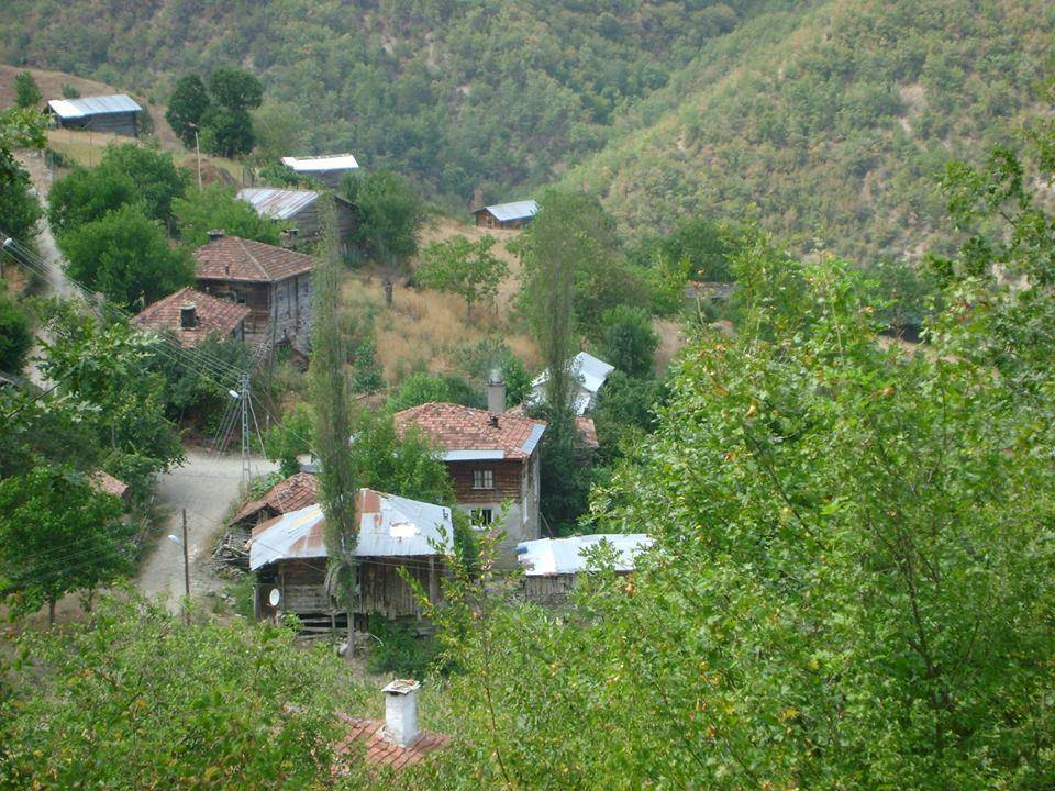 Gerze Tatlıcak Köyü Resimleri 9