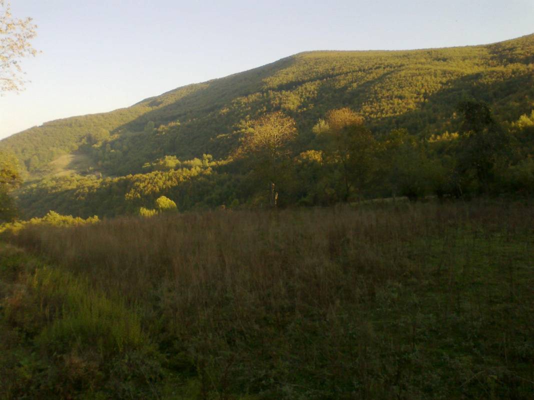 Gerze Tepealtı Köyü Resimleri 1