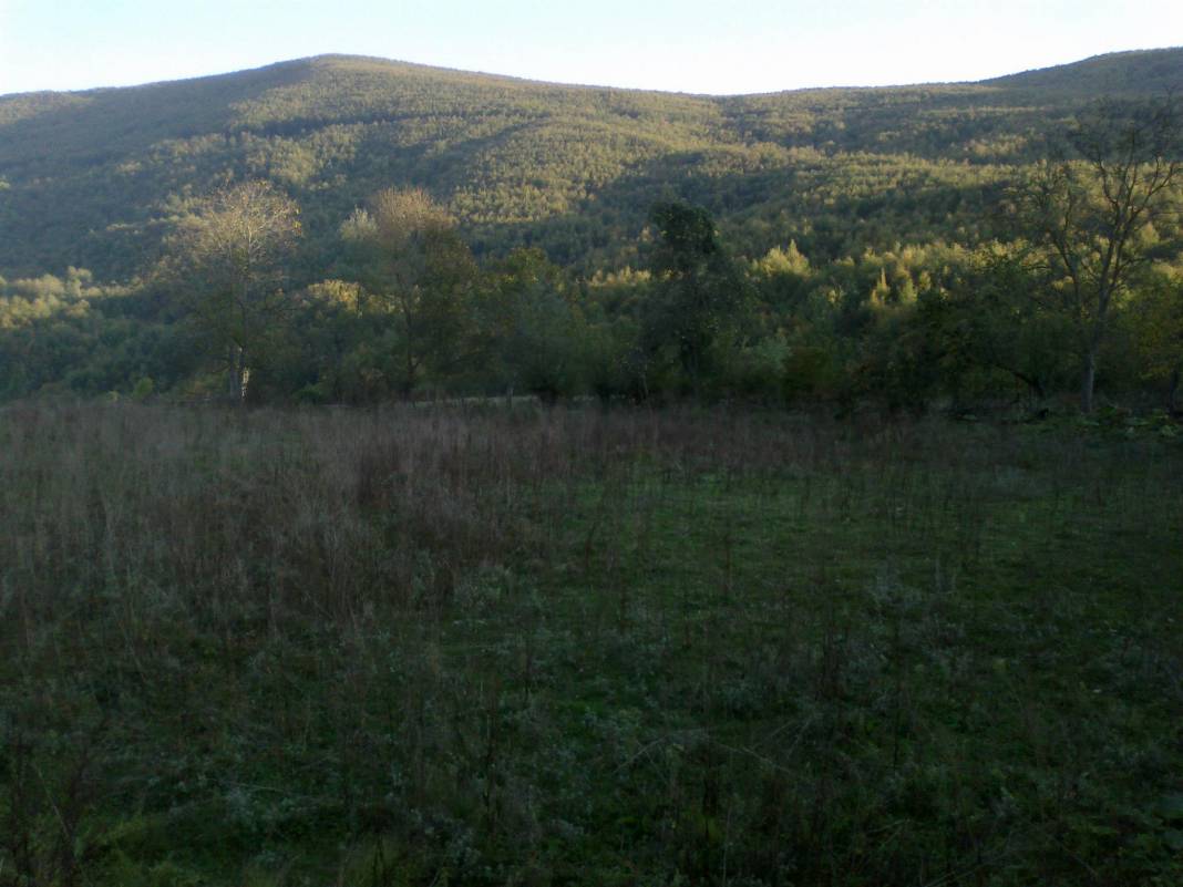 Gerze Tepealtı Köyü Resimleri 4