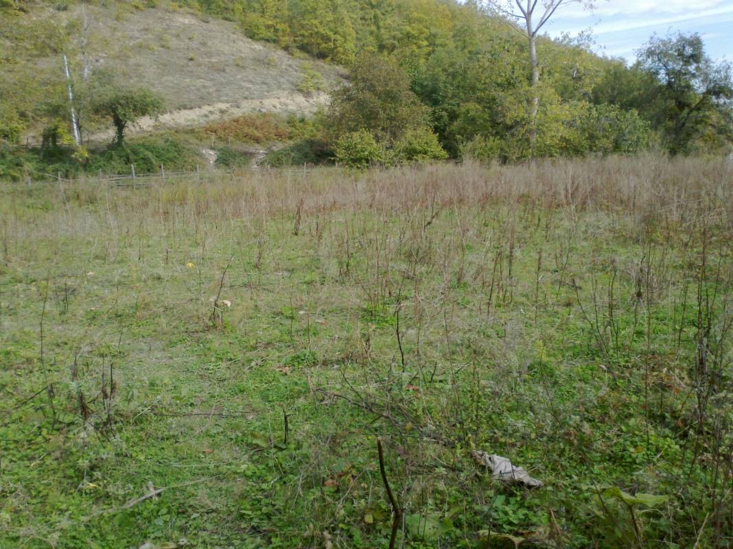 Gerze Tepealtı Köyü Resimleri 5