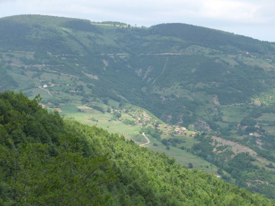 Gerze Tokuşlar Köyü Resimleri 2