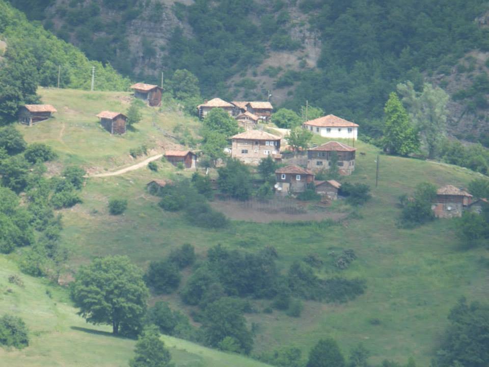 Gerze Tokuşlar Köyü Resimleri 3