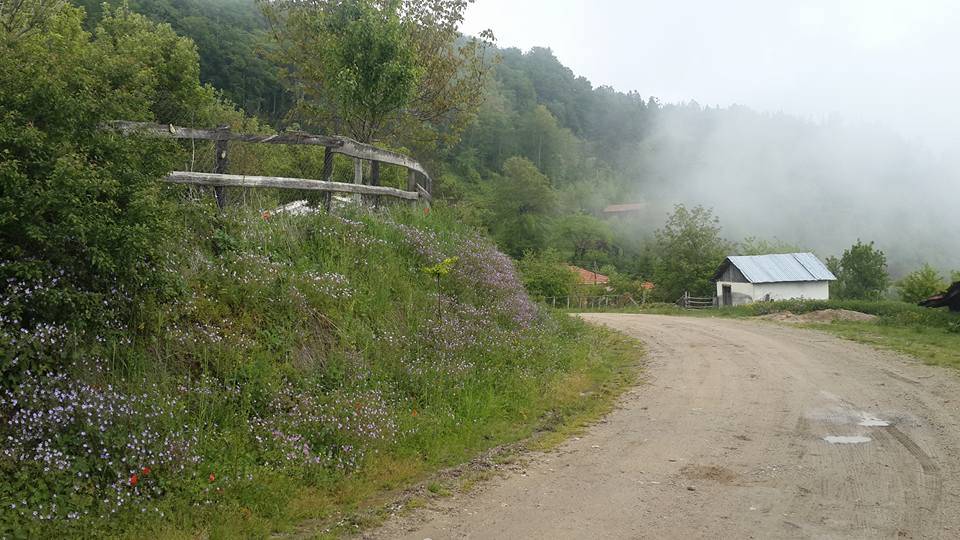 Gerze Tokuşlar Köyü Resimleri 4