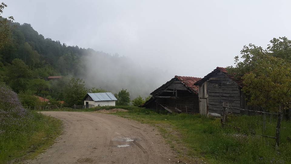 Gerze Tokuşlar Köyü Resimleri 5