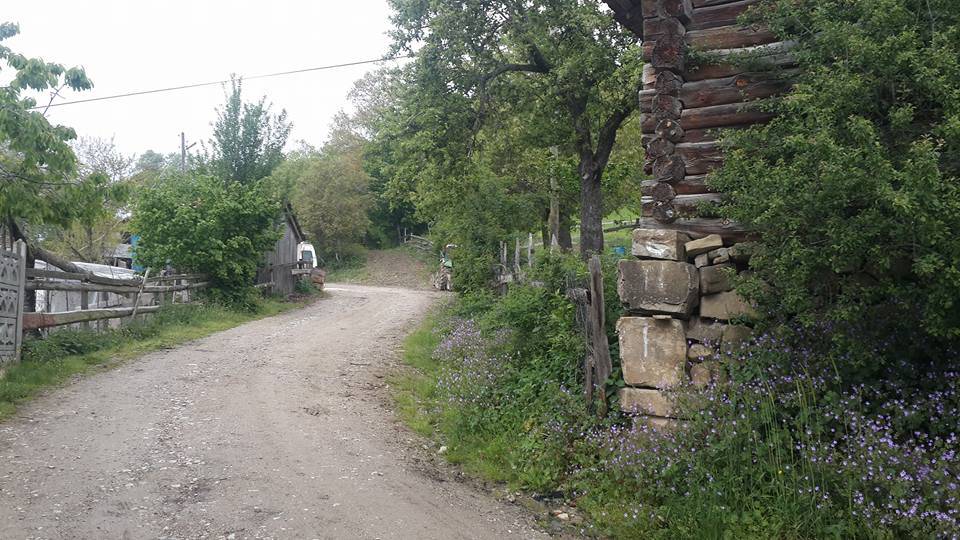 Gerze Tokuşlar Köyü Resimleri 6