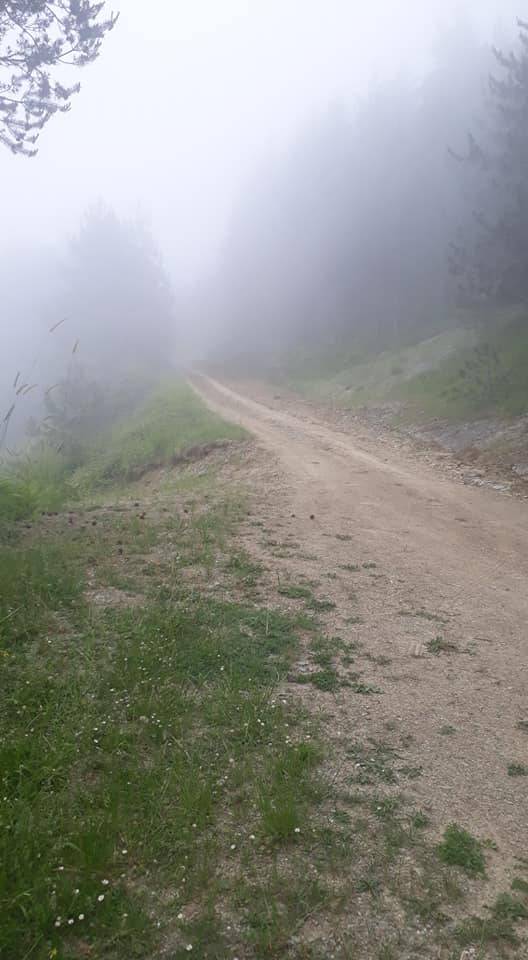 Gerze Tokuşlar Köyü Resimleri 7