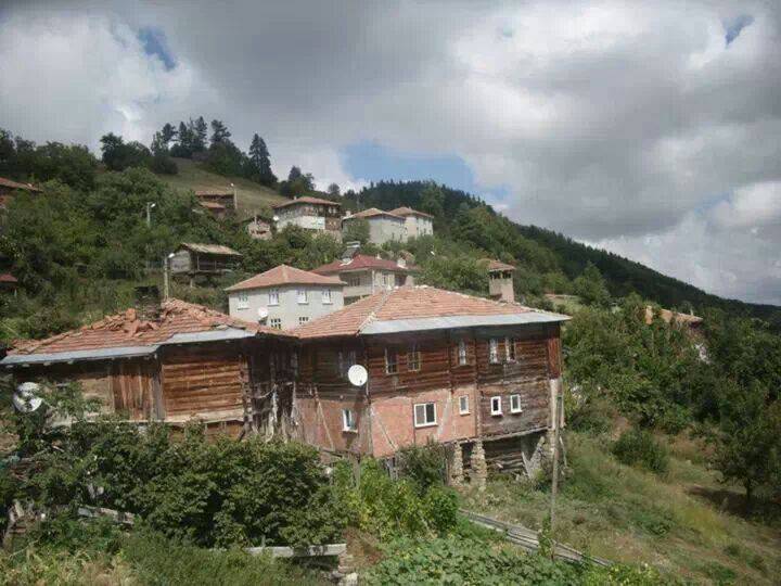 Gerze Tokuşlar Köyü Resimleri 9