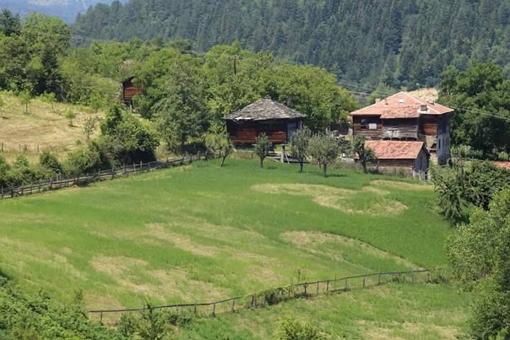 Gerze Türkmen Köyü Resimleri 1