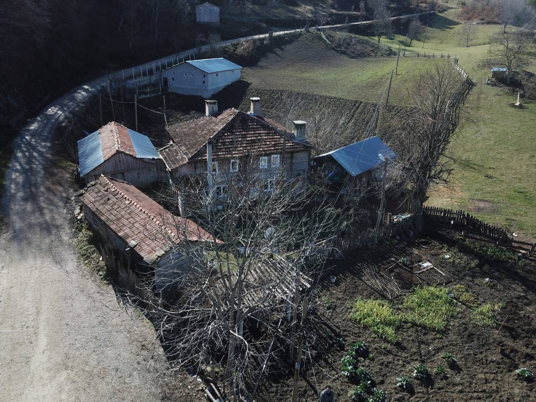 Gerze Türkmen Köyü Resimleri 2