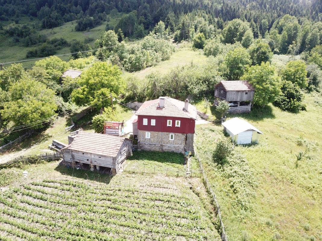 Gerze Türkmen Köyü Resimleri 5