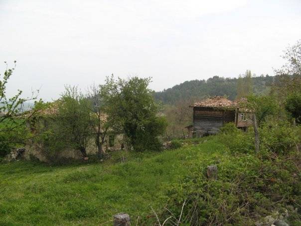 Gerze Türkmenlioğlu Köyü Resimleri 1