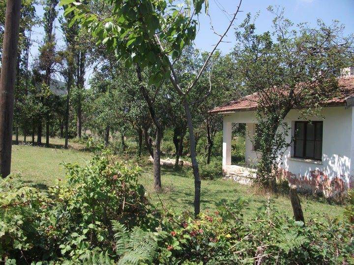 Gerze Yakadibi Köyü Resimleri 5