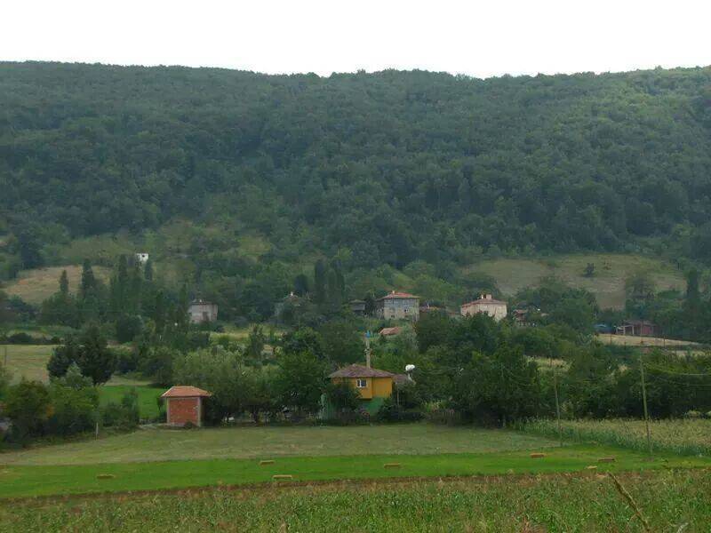 Gerze Yakadibi Köyü Resimleri 9