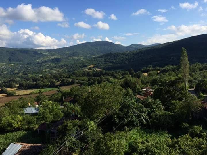 Gerze Yamacık Köyü Resimleri 3