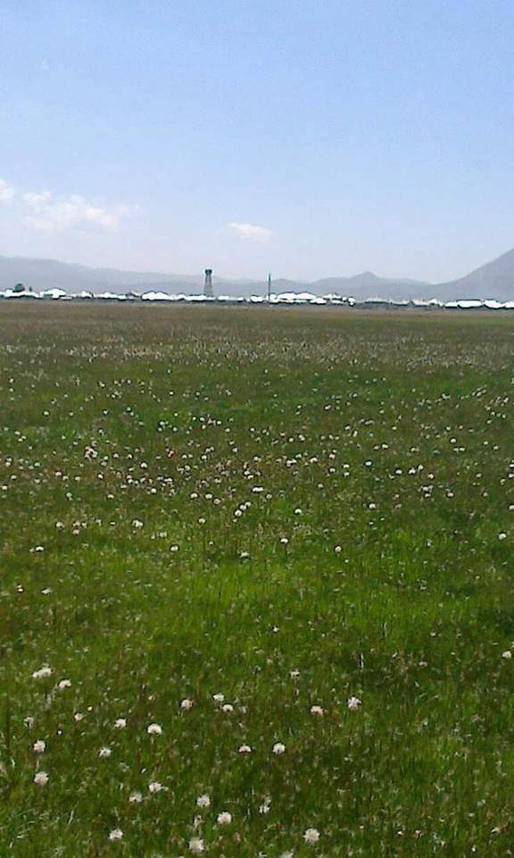 Van Hanköy Resimleri 1