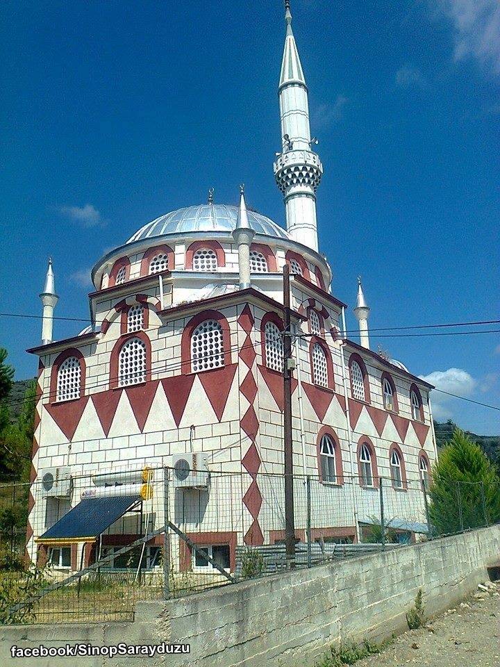 Saraydüzü Arım Köyü Resimleri 2