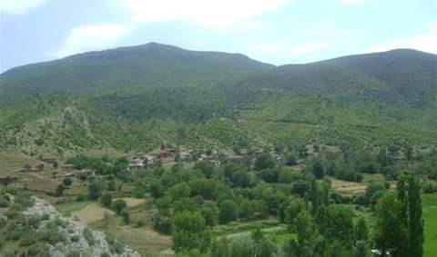 Saraydüzü Arım Köyü Resimleri 3