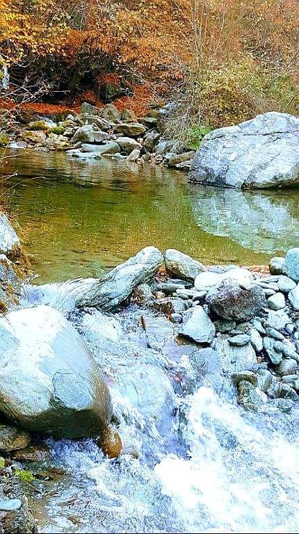 Saraydüzü Asarcıkkazaklı Köyü Resimleri 2