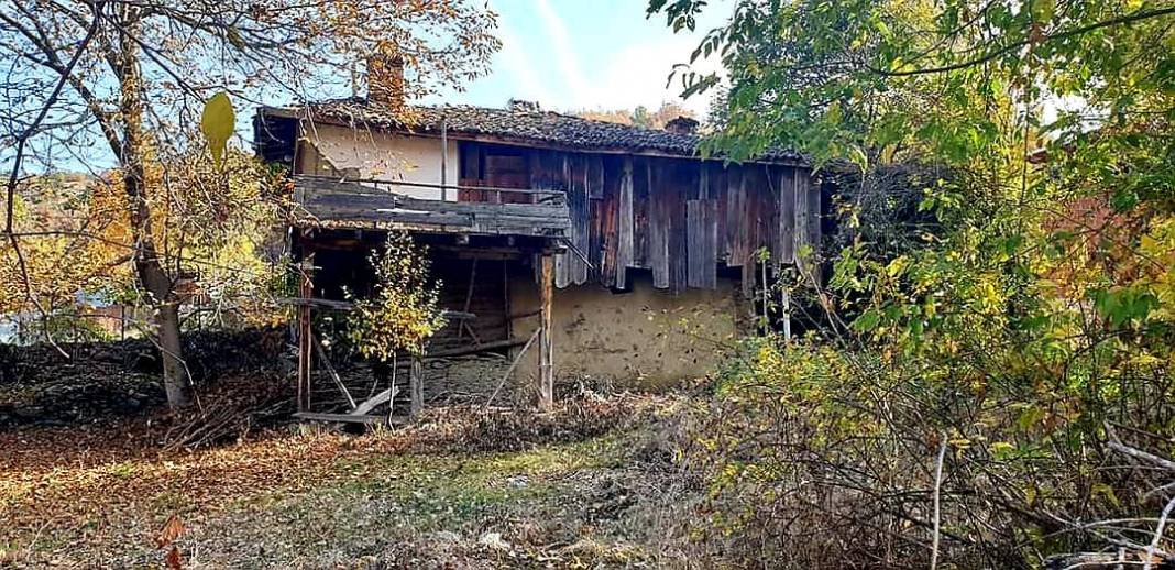 Saraydüzü Asarcıkkazaklı Köyü Resimleri 3