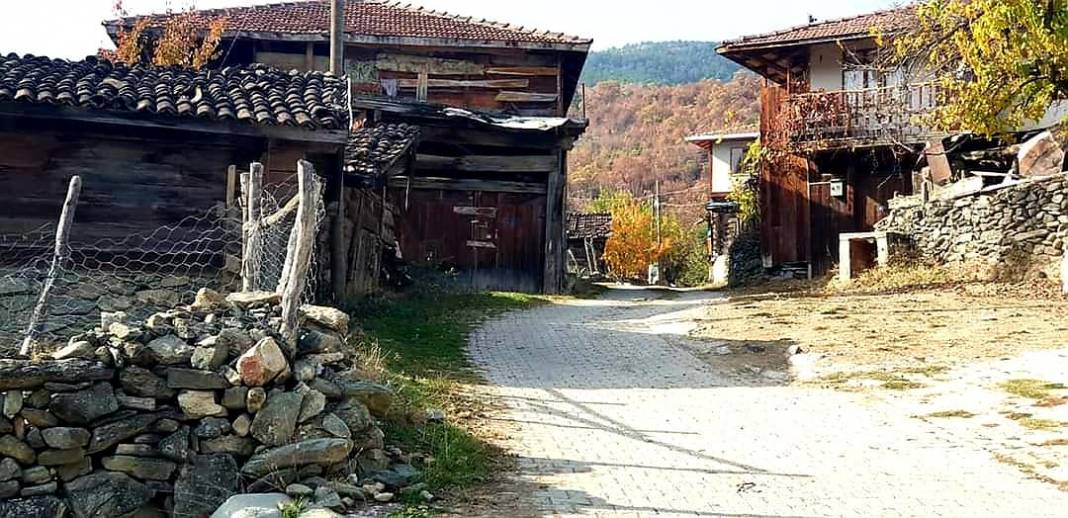 Saraydüzü Asarcıkkazaklı Köyü Resimleri 4