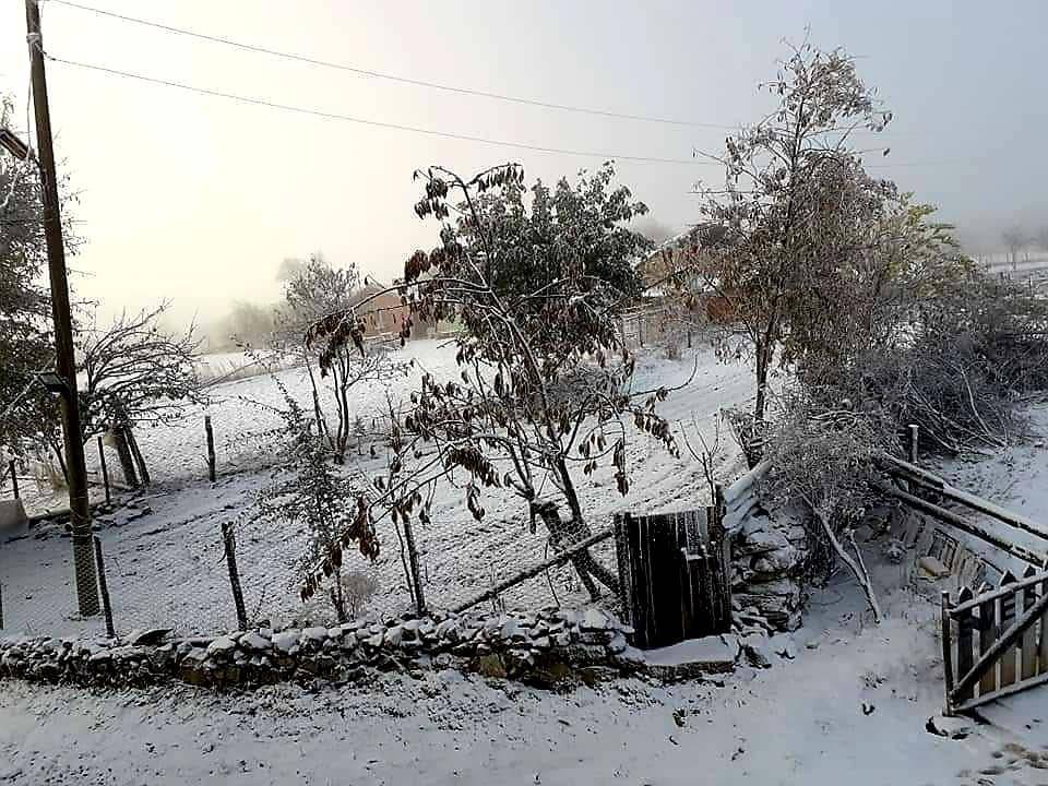 Saraydüzü Asarcıkkazaklı Köyü Resimleri 6