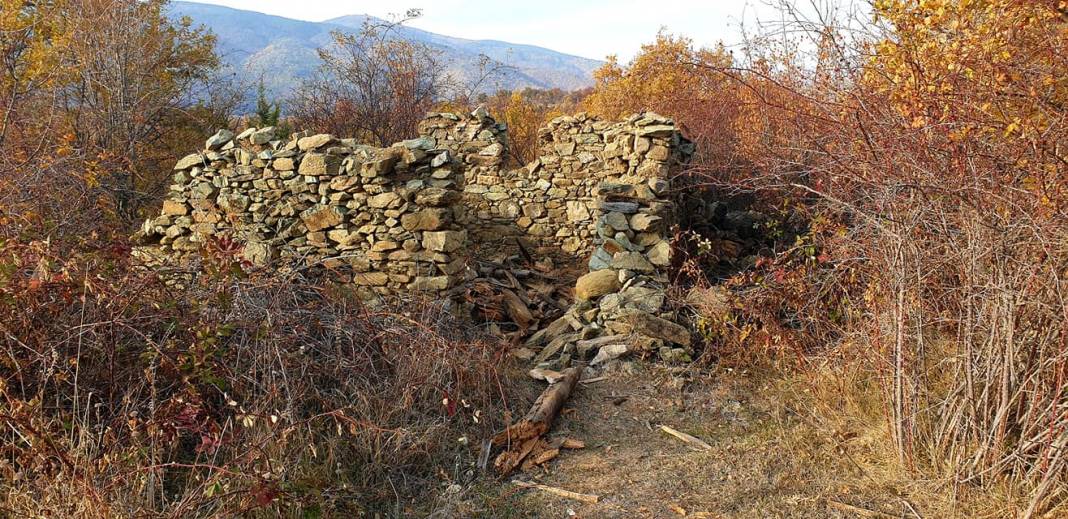 Saraydüzü Asarcıkkazaklı Köyü Resimleri 7