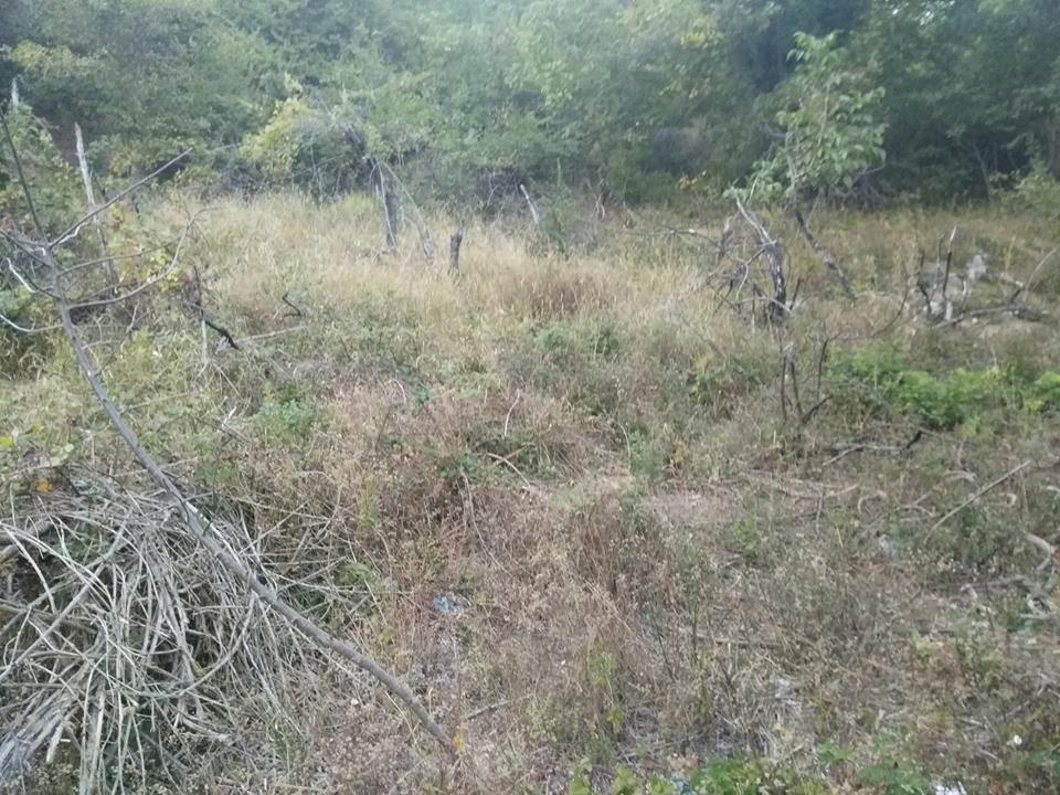 Pamukova Kazımiye Köyü Resimleri 12