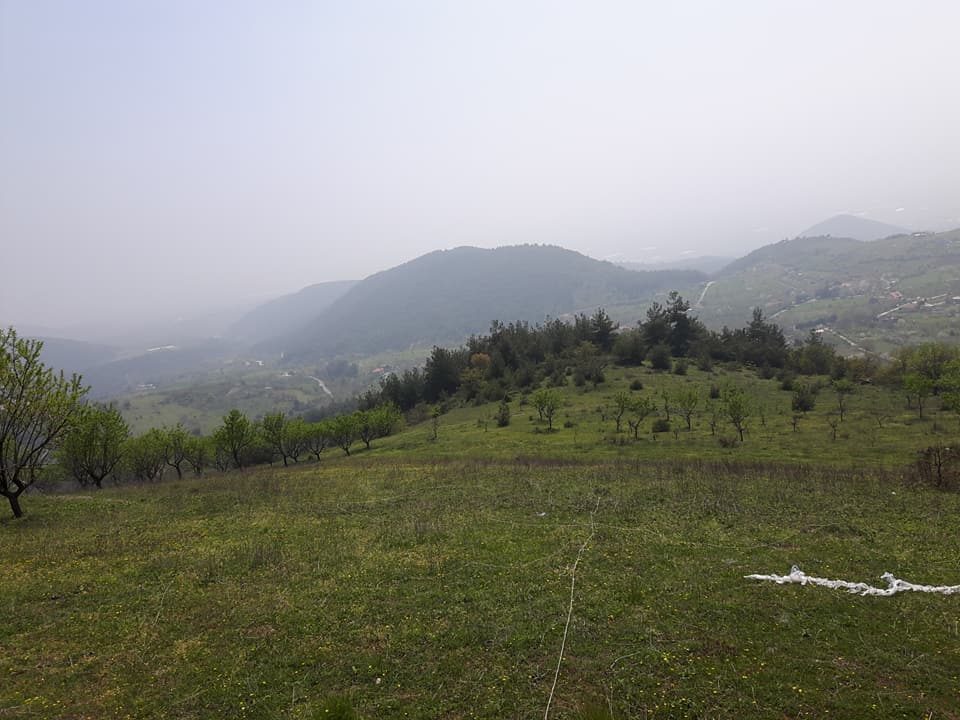 Pamukova Kazımiye Köyü Resimleri 13