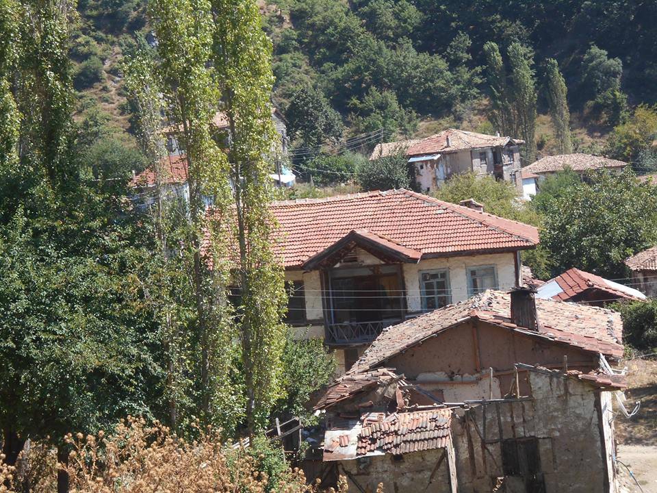 Pamukova Kazımiye Köyü Resimleri 3