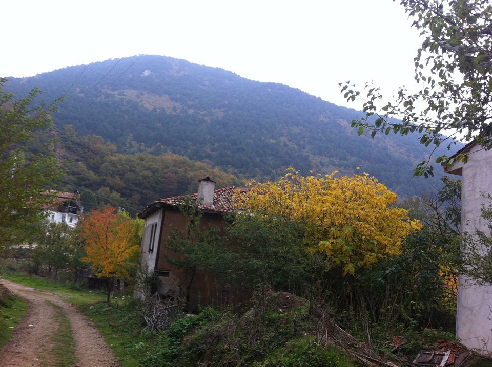 Pamukova Kazımiye Köyü Resimleri 5