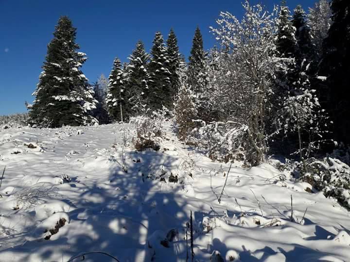 Pamukova Kazımiye Köyü Resimleri 7