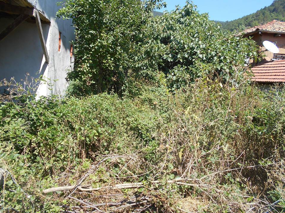 Pamukova Kazımiye Köyü Resimleri 8