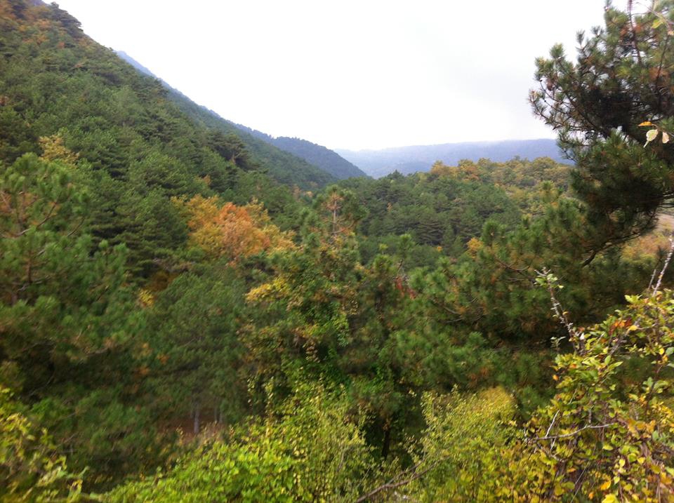 Pamukova Kazımiye Köyü Resimleri 9