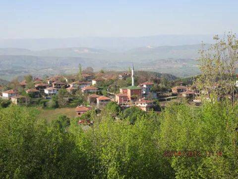 Saraydüzü Avluca Köyü Resimleri 1