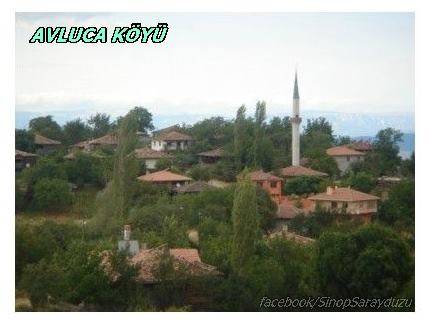 Saraydüzü Avluca Köyü Resimleri 2